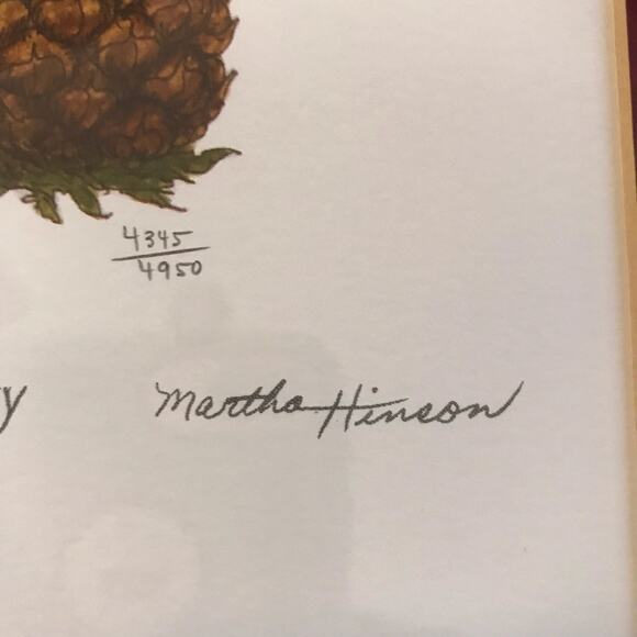 Martha Hinson Framed Limited Edition Hospitality Pineapple Print 4345/4950 - Picture 4 of 8